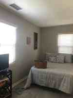 featured image of 17 Nature #LOWER