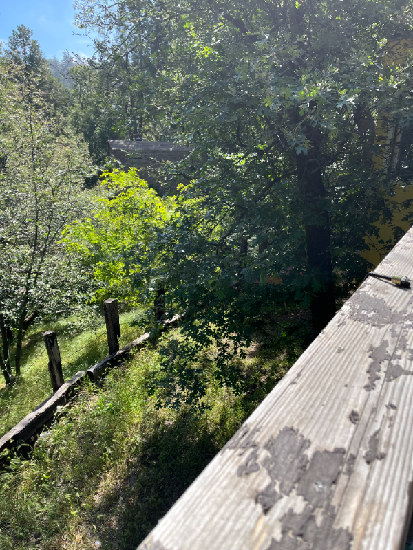 23348 Knapps Cutoff - Photo 3 of 27