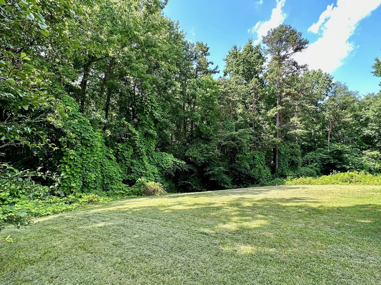 1431 Olde Justin Pl - Photo 2 of 21