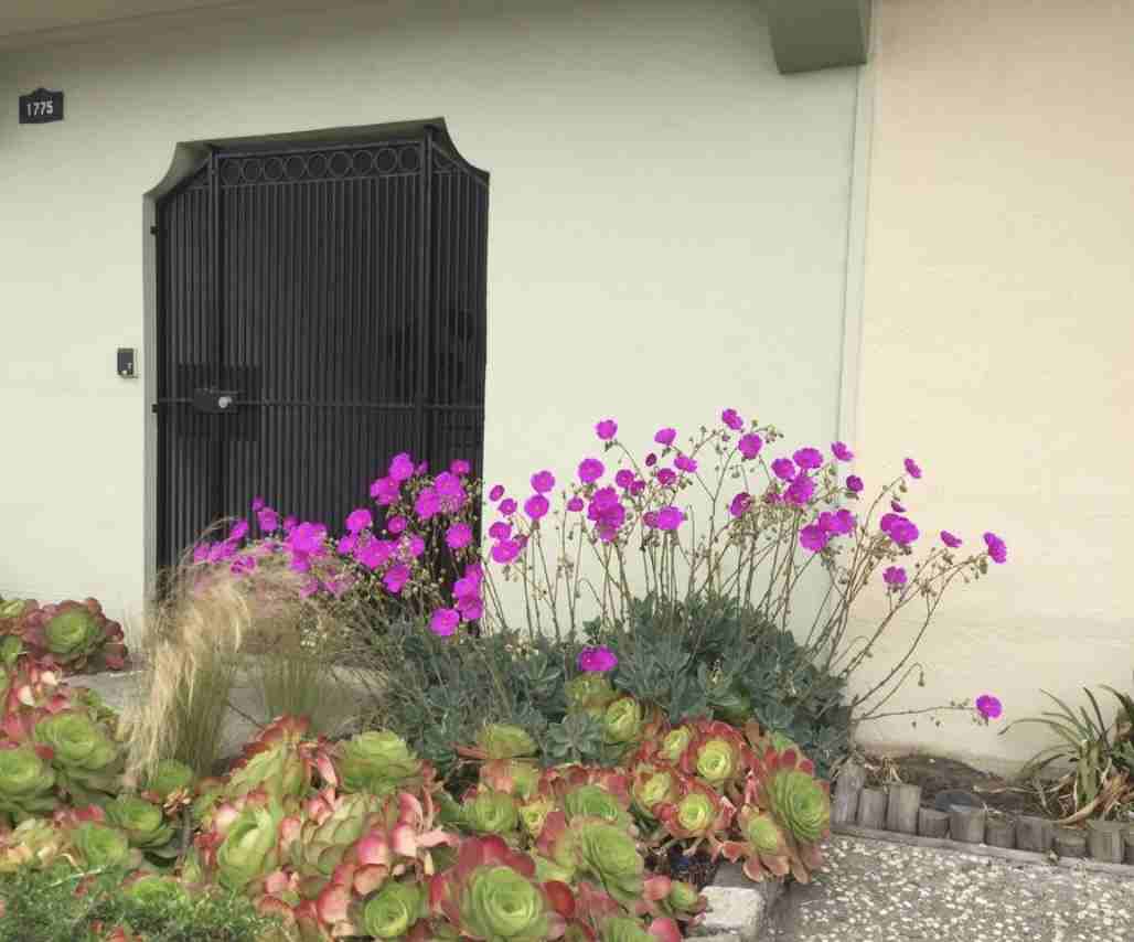 1775 43rd Ave - Photo 2 of 21