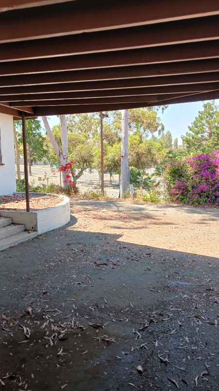 4943 Olivewood Ave - Photo 3 of 14