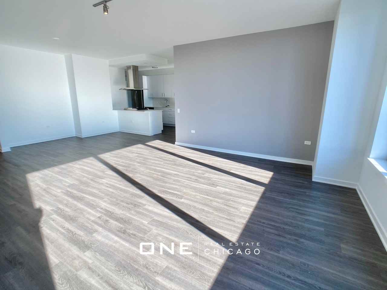 N La Salle Dr - Photo 4 of 20