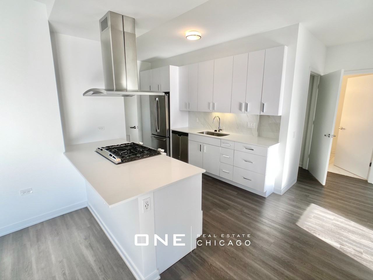 N La Salle Dr - Photo 6 of 20