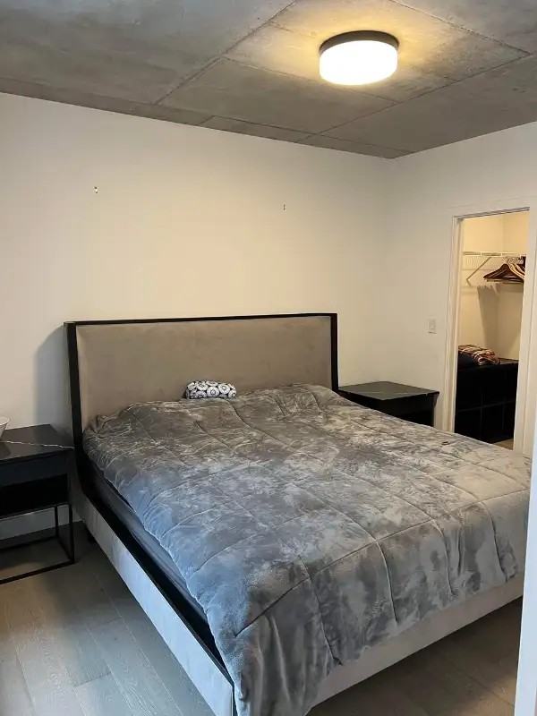 85 Rue de Castelnau Ouest #208 - Photo 2 of 10