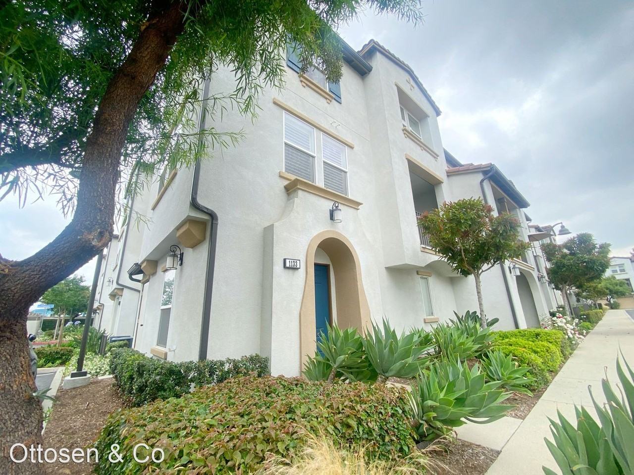 1133 Calle Montana - Photo 2 of 32