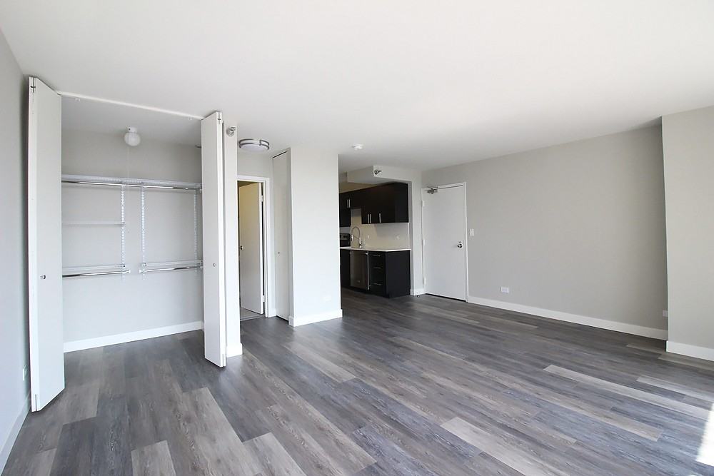 1 E Delaware Pl - Photo 7 of 34