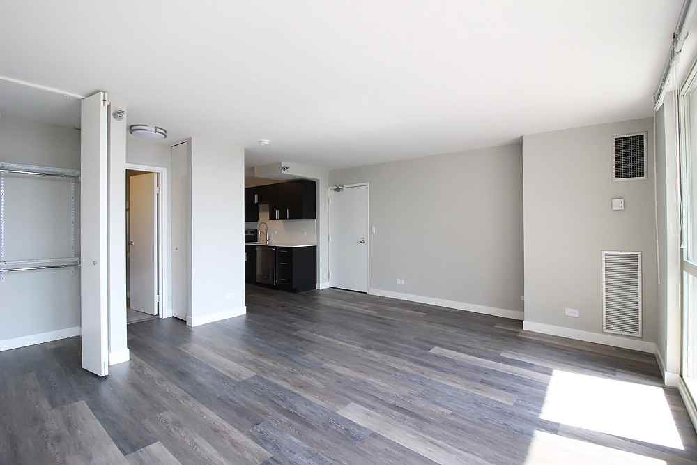 1 E Delaware Pl - Photo 7 of 34