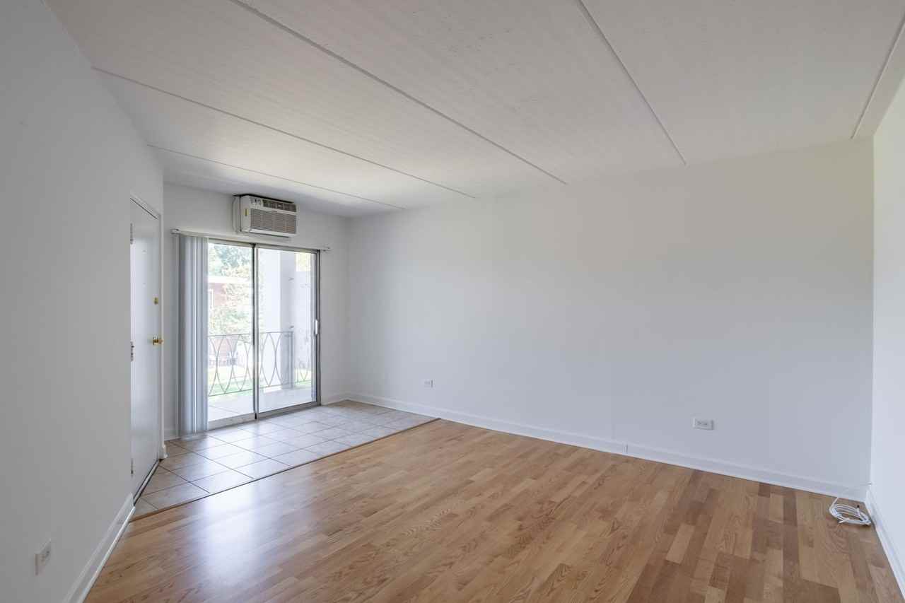140 E Lake St #13B - Photo 3 of 7