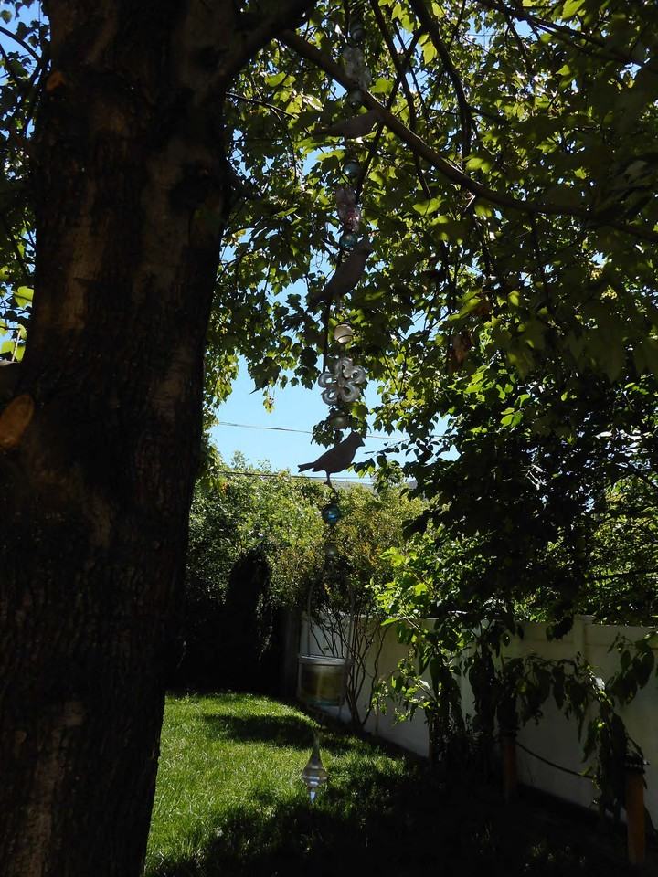 608 Green St #1 - Photo 4 of 50