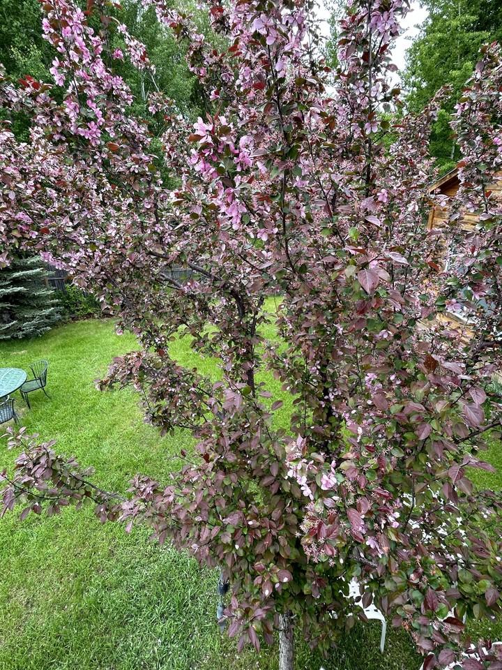 439A S Tyler Ave #1 - Photo 3 of 16