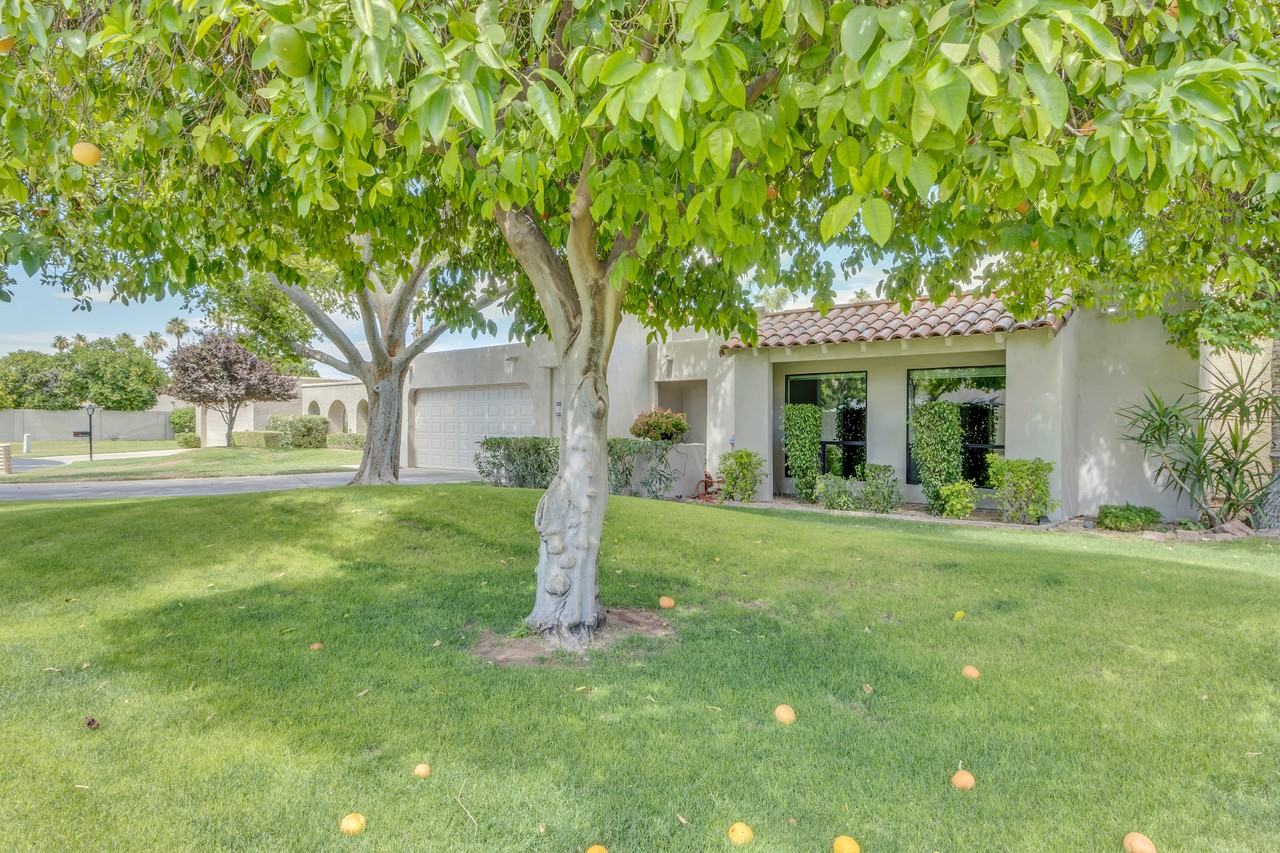 7355 E Citrus Way - Photo 3 of 49