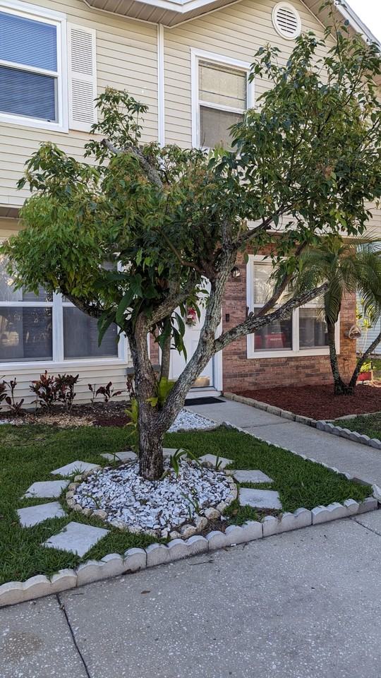 8714 Cobbler Pl #8714 - Photo 2 of 38