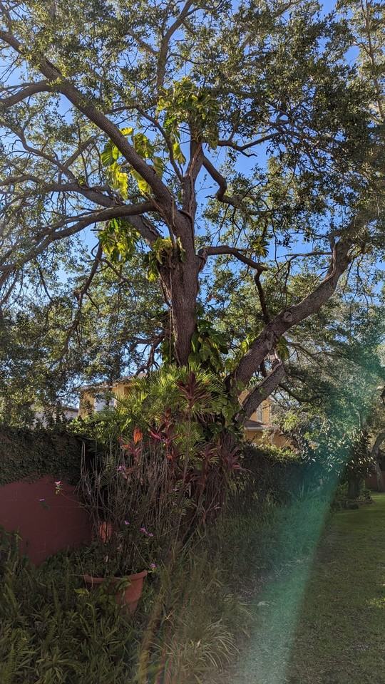 8714 Cobbler Pl #8714 - Photo 3 of 38