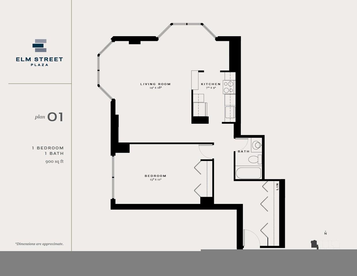 1130 N Dearborn St, Chicago, IL 60610 1 Bedroom Apartment for Rent