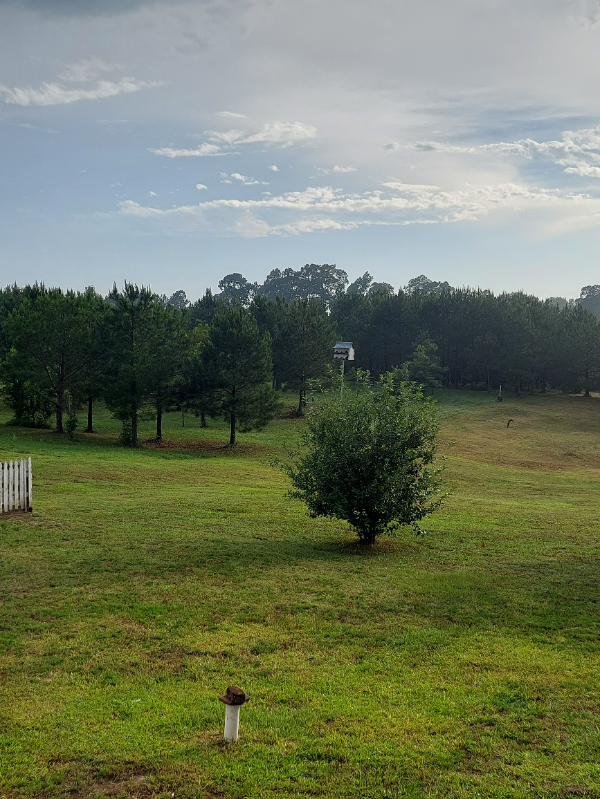 745 Demoss Rd - Photo 3 of 26