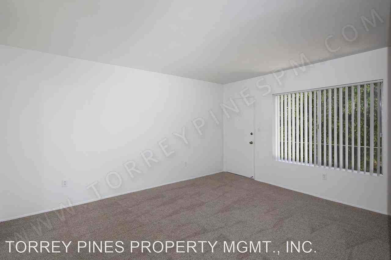 959 Chalcedony Street - Photo 3 of 14