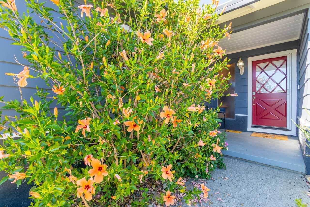 40 Cushing Ave - Photo 3 of 29