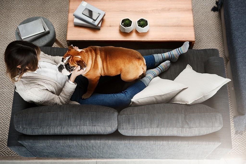 The Quarters Apartments 380 370380 Quarry Way Se, Calgary, AB T2C