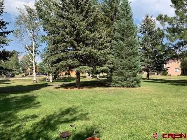199 Davis Cup Dr #1 - Photo 3 of 50