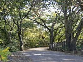 featured image of 3300 Old Soscol Way