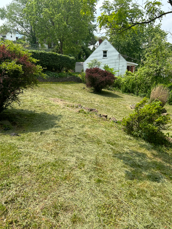 1600 Steiner Ave - Photo 3 of 11