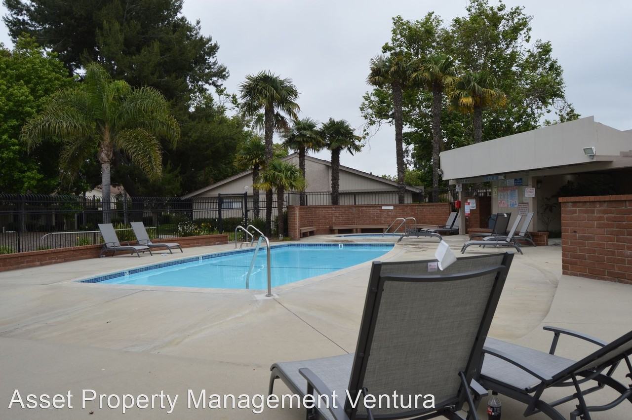 523 Holly Ave - Photo 3 of 7