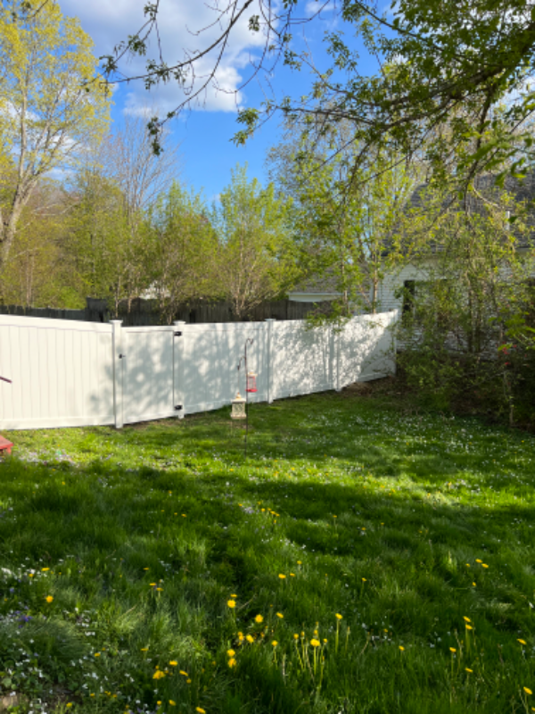 36 Village St #1 - Photo 5 of 18