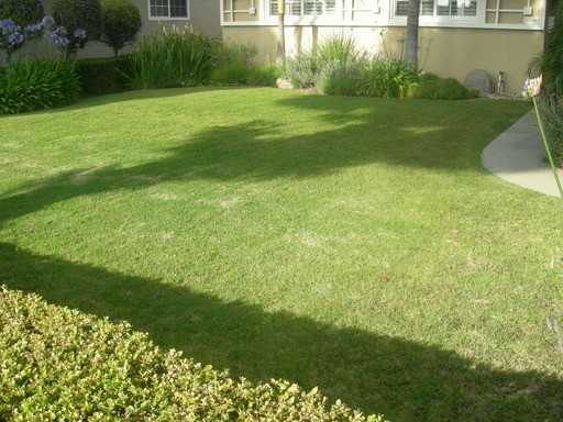 16352 Del Mar Ln - Photo 3 of 29