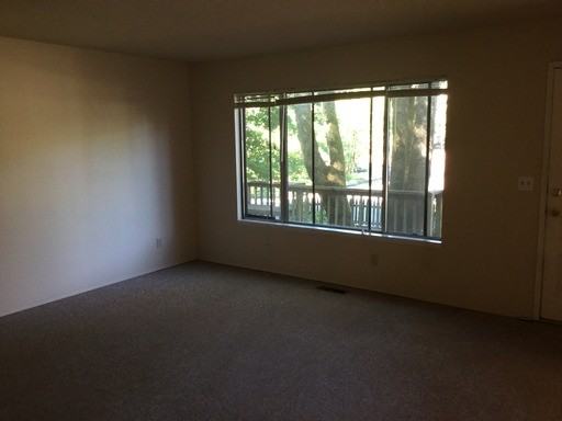 9536 SW 50th Ave - Photo 2 of 11