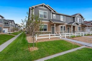 featured image of 271 Penguin St