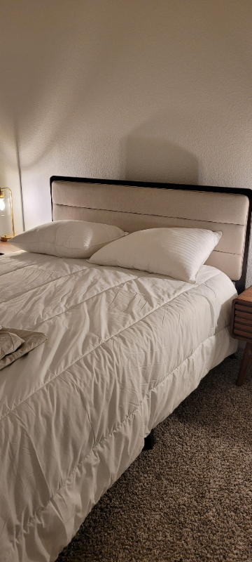 3635 El Pinal Dr - Photo 2 of 5