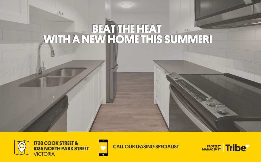 Studio Apartments for Rent In Victoria, BC Rentals Available Zumper