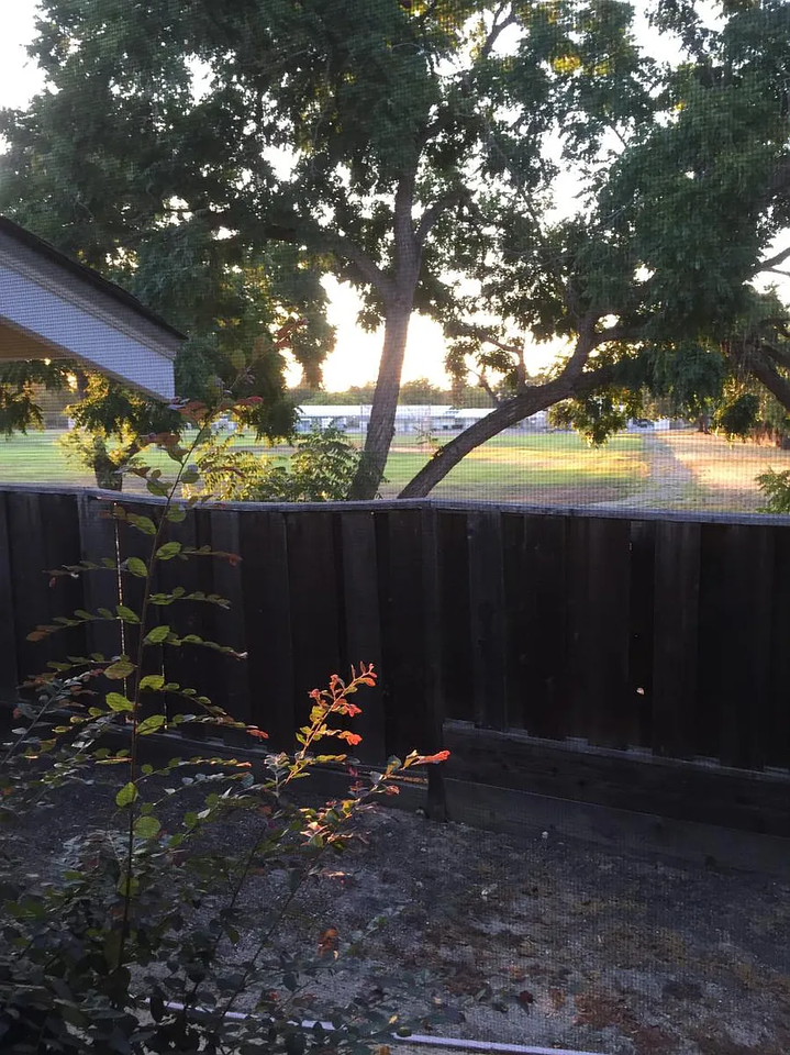 428 Dogwood Dr #NA - Photo 2 of 12