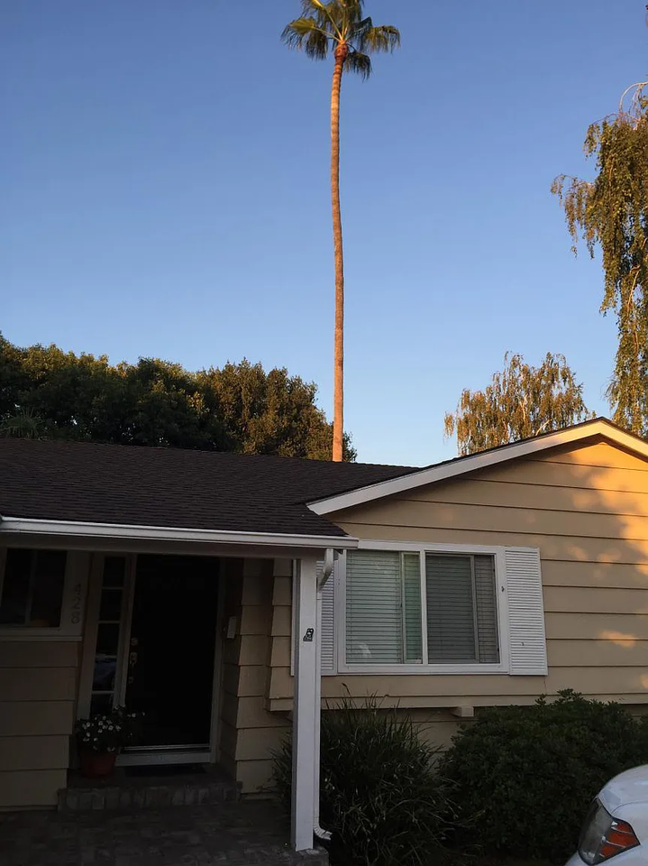 428 Dogwood Dr #NA - Photo 3 of 12