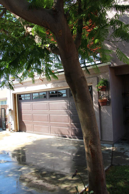 6117 Greenwood Ave - Photo 3 of 18