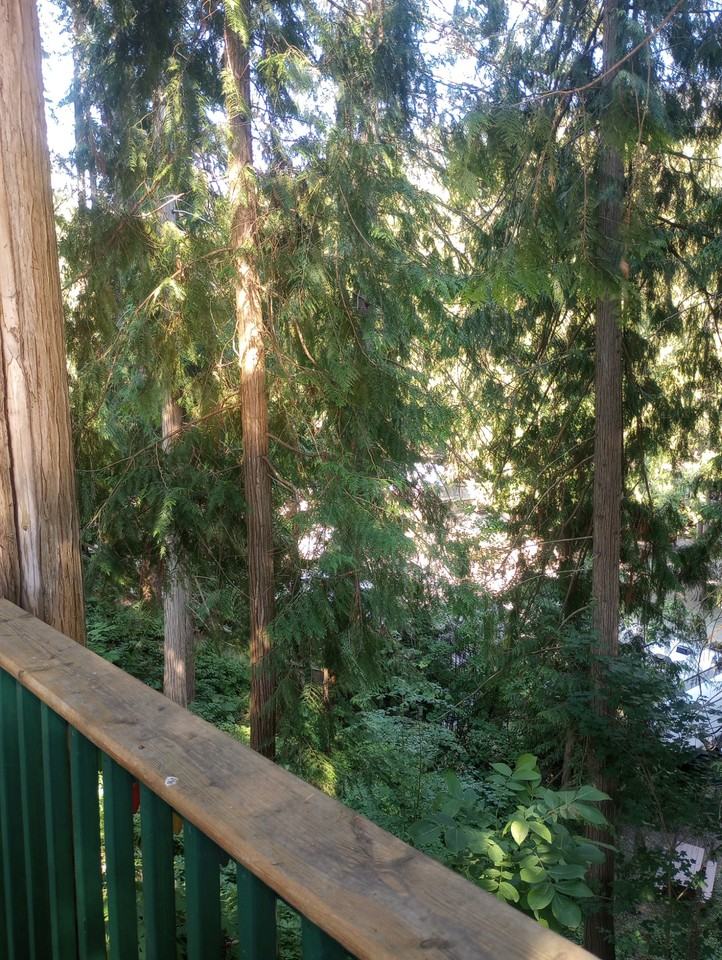 TransCanada Highway, Canoe, BRITISH COLUMBIA V0E 1K0 1 Bedroom