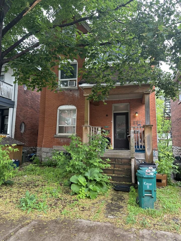 537 McLeod Street #4