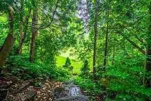 10 Burnhamthorpe Road - Photo 3 of 36