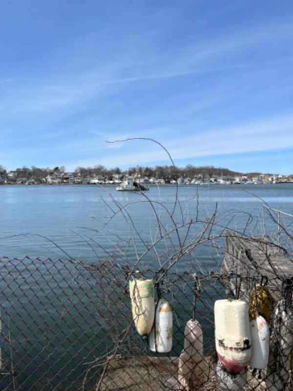 806 Quinnipiac Ave #1 - Photo 2 of 4