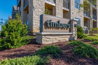 Timbers - Photo 1 of 1