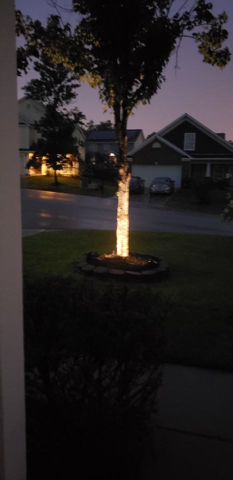 105 White Cedar Ct #NA - Photo 3 of 16