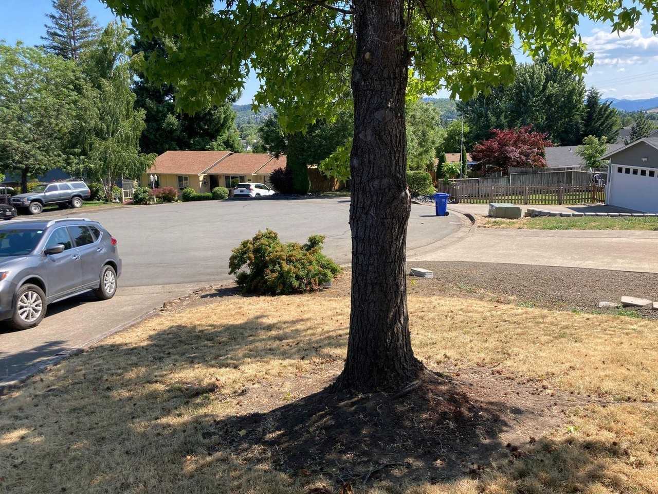 141 Laguna Ct - Photo 3 of 24