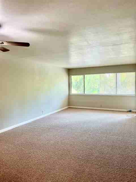 1731 Ellis St #1 - Photo 2 of 18