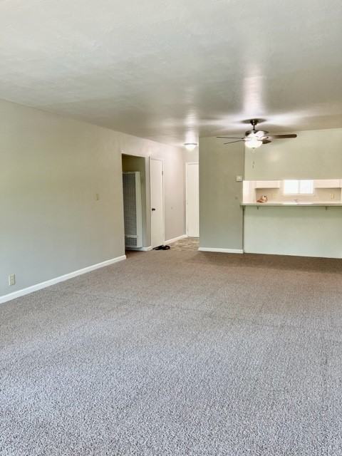 1731 Ellis St #1 - Photo 3 of 18
