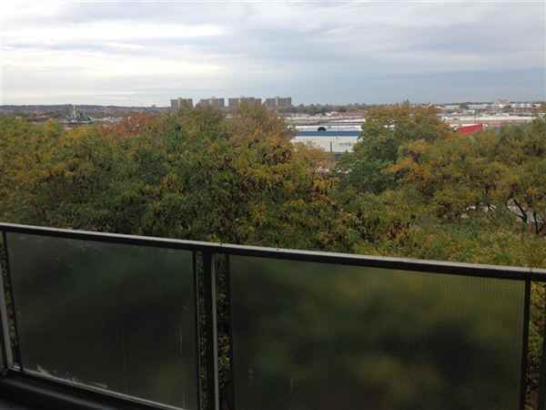 Flatlands Ave and Elton St - Photo 3 of 13