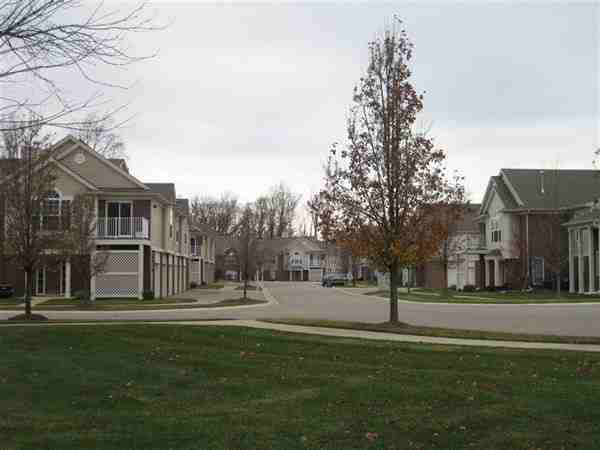 Parkdale Forest - Photo 3 of 10