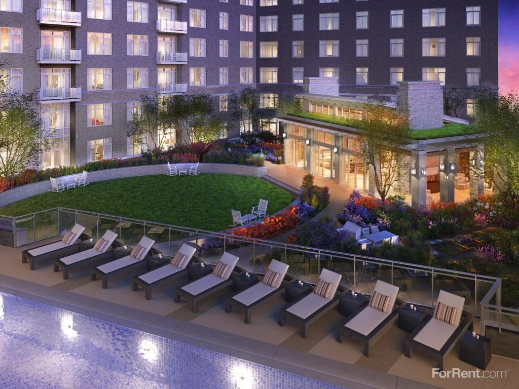 Pallas - Photo 3 of 10