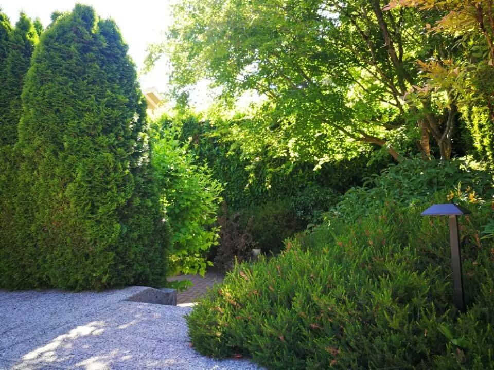 Sherman St & Rose Crescent - Photo 5 of 20