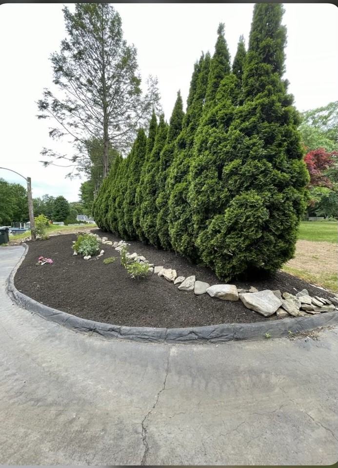 39 Wallace Avenue - Photo 2 of 14