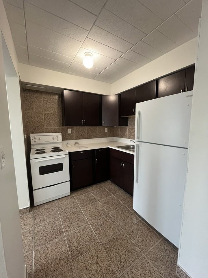 1264 Wyandotte St E - Photo 3 of 6